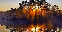 beau coucher de soleil orange entre des branches d'arbres au bord d'un lac